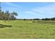 Serene pasture with lush grass and distant trees at 35 Enclave Dr, Winter Haven, FL 33884