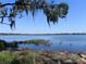 Scenic view of a lake with lush vegetation at 2201 W Pilaklakaha Ave, Auburndale, FL 33823
