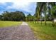 Long gravel driveway leading to the property, lined with palm trees at 1937 Rifle Range Rd, Winter Haven, FL 33880