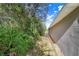 Landscaped side yard with lush greenery and a pathway at 230 Grouper Ct, Poinciana, FL 34759