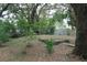 Partially-wooded backyard with steps and leaf-covered ground at 3448 Avenue T Nw, Winter Haven, FL 33881