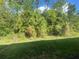 Landscaped backyard with lush greenery and natural wooded area at 1561 Vienna Square Dr, Winter Haven, FL 33884