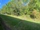 Grass backyard bordered by a natural treeline at 1561 Vienna Square Dr, Winter Haven, FL 33884