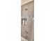 Modern bathroom with shower, built-in shelves, and updated fixtures at 1644 Linz Ct, Winter Haven, FL 33884