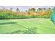 Well-maintained tennis court with green surface and chain-link fence at 1644 Linz Ct, Winter Haven, FL 33884