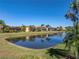 Pond with reflections of houses and lush vegetation at 3604 Blackmoor Ln, Lake Wales, FL 33859