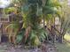 Wooden home with a porch and palm tree at 1322 Shady Cove W Rd, Haines City, FL 33844
