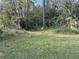 Vacant lot with lush vegetation, including trees and grass at 1322 Shady Cove W Rd, Haines City, FL 33844