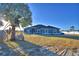 Blue house with palm tree and spacious yard at 135 Mi Rancho Rd, Davenport, FL 33837