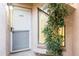 Front door with gray trim and a side window, with a climbing plant next to it at 802 Magnolia Pl, Winter Haven, FL 33884