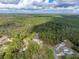 Aerial view of a house situated in a wooded neighborhood at 9365 Lemon Dr, Lake Wales, FL 33898