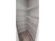 Walk-in pantry with ample shelving for food storage at 3937 Reed Grass Pl, Kissimmee, FL 34746