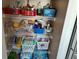 Well-organized pantry with ample shelving for storage at 924 Derbyshire Dr, Kissimmee, FL 34758