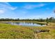 Community pond with fountain and lush landscaping at 2732 Oakwater Dr # 101, Kissimmee, FL 34747
