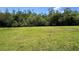 Spacious backyard offering a large grassy area and privacy at 465 Villa Park Rd, Poinciana, FL 34759