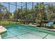 Screened pool and patio area at 9502 Hempel Cove Blvd, Windermere, FL 34786