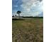 Large grassy lot with a palm tree at 12351 Northover Loop, Orlando, FL 32824