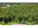 Property backs to lush conservation area with distant neighborhood view at 709 Carmel Ln, Kissimmee, FL 34759