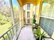 Screened balcony with potted plants and views at 6335 Contessa Dr # 205, Orlando, FL 32829