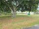 Side view of the house showing the yard and tree at 834 S Donnelly St, Eustis, FL 32726