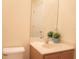 Small bathroom with single sink, vanity, and toilet at 3006 Red Ginger Rd, Kissimmee, FL 34747