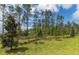 Landscaped backyard with lush greenery at 880 Pebble Beach Dr, Davenport, FL 33896