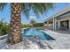 Relaxing pool area with a spa and palm trees at 15620 Panther Lake Dr, Winter Garden, FL 34787
