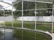 Backyard pool with a screened enclosure and grassy area at 216 Balmoral Ct, Davenport, FL 33896