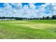 Spacious grassy area perfect for recreation, offering a beautiful view of the neighborhood at 10091 Austrina Oak Loop, Winter Garden, FL 34787