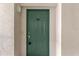Green front door with a lock, showcasing a welcoming entryway at 3301 Whitestone Cir # 308, Kissimmee, FL 34741