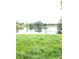 Overgrown backyard with a peaceful lake view at 5819 Colchester Dr, Orlando, FL 32812