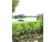 View of a pond with lush green vegetation from behind a fence at 5819 Colchester Dr, Orlando, FL 32812