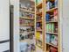 Well-organized pantry with ample shelving for food storage at 205 Bell Tower W Xing, Kissimmee, FL 34759