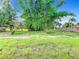 Vacant lot with mature bamboo and lush grass at 623 Sylvan Ramble Rd, Davenport, FL 33837