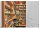 Well-organized pantry with ample shelving for storage at 356 Toldedo Rd, Davenport, FL 33837