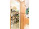 Walk-in pantry with ample shelving for storage at 1380 E Lake Shore Blvd, Kissimmee, FL 34744