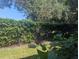 Backyard with hedges and grass at 2912 S Semoran Blvd # 9, Orlando, FL 32822