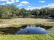 Ducks swimming in a pond next to the property at 4350 E Hinson Ave, Haines City, FL 33844