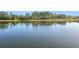Picturesque pond with calm waters reflecting the clear blue sky at 513 Viterra Ct, Kissimmee, FL 34759