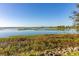 Expansive lake view with calm waters and natural vegetation at 1402 Westminster Way, Kissimmee, FL 34744