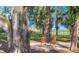 Peaceful patio seating area nestled amongst mature trees at 4321 Rummell Rd, St Cloud, FL 34769