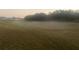 Open green space with a slight incline at 523 Royal Ridge Dr, Davenport, FL 33837