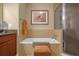 Bathroom with garden tub and separate shower at 7650 Whisper Way # 203, Reunion, FL 34747