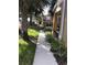 Walkway leading to townhome, showing landscaping and neighboring homes at 6560 Candied Peel Aly, Winter Garden, FL 34787