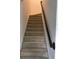 Carpeted staircase with dark metal railing at 6560 Candied Peel Aly, Winter Garden, FL 34787