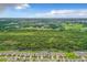 Aerial view of neighborhood and conservation area at 1927 Partin Terrace Rd, Kissimmee, FL 34744