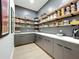 Well-organized pantry with ample shelving and storage at 98 E 10Th Ave, Windermere, FL 34786