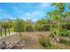 Landscaped backyard with various plants and trees at 2649 Sunset Cir, Lake Wales, FL 33898