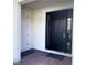 Modern home entrance featuring a black front door and a white side door at 2737 Nottel Dr, Saint Cloud, FL 34772