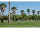 Well-maintained driving range with ample space for practice at 141 Marabella Loop, Poinciana, FL 34759